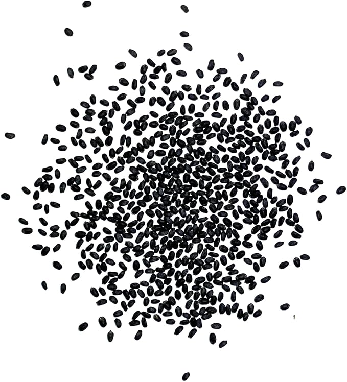 Seed Needs Italian Large Leaf Basil Seeds for Planting - Non-GMO, Heirloom & Untreated - Organically Grow an Indoor or Outdoor Home Grown Herb Garden (5 Packs)