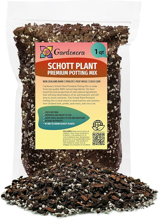 Premium Monstera Lechleriana Schott Potting Mix - Expertly Crafted for Healthy Growth - 1 Quart