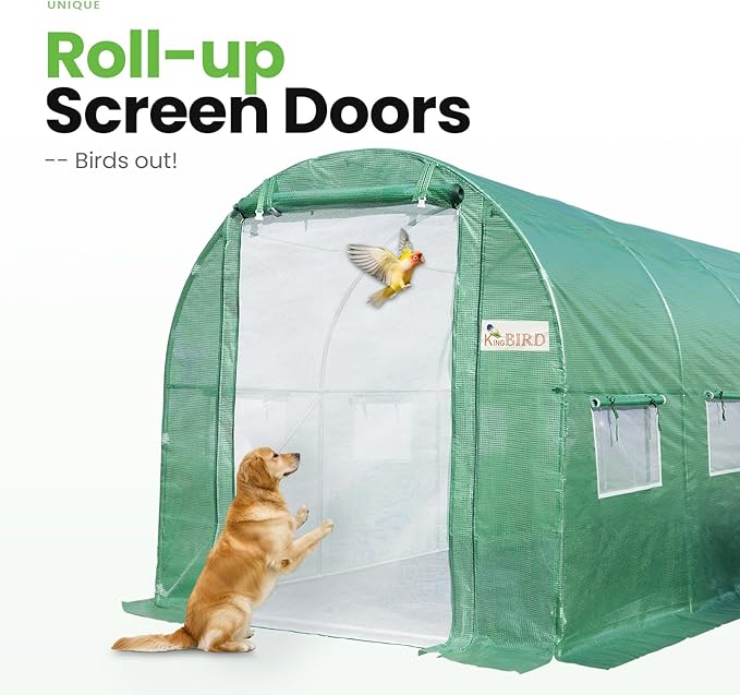 KING BIRD Premium 10x6.6x6.6FT Greenhouse for Outdoors, Large Walk-in Heavy Duty Galvanized Steel Frame, Mesh Door Screen Window Upgraded Zipper Tunnel Hoop for Garden Plant Winter, Green