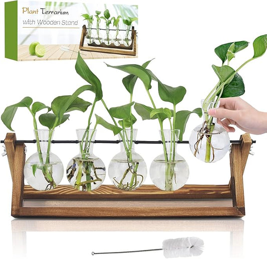 Plant Propagation Station, Propagation Vases for Plants, Unique Gardening Birthday Gifts for Women Plant Lovers Mom Best Friend - 5 Bulb Glass Vases