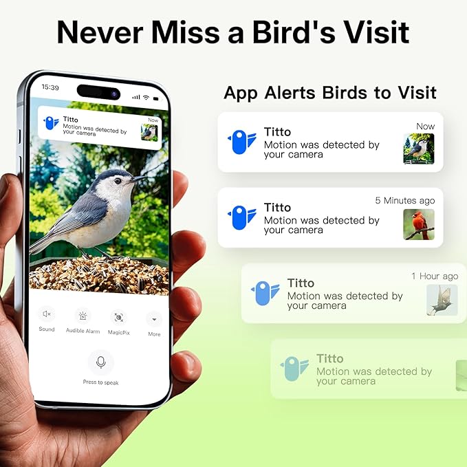 Kingsyard by Titto Solar Smart Bird Feeder with Camera, Bird Feeder Camera with AI Identify Birds Species & 2K HD Live View, Auto Capture Videos, Green (Pole Included)