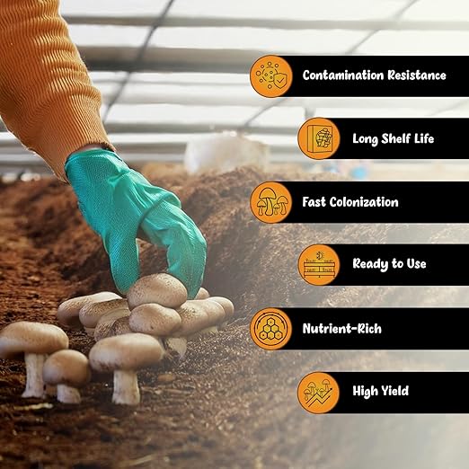Tortoise Dung Substrate DinoSoil - Coir Blend with Coffee, Vermiculite, Gypsum, Earthworm Castings for Fast Colonization & Mushroom Growth (5lb)