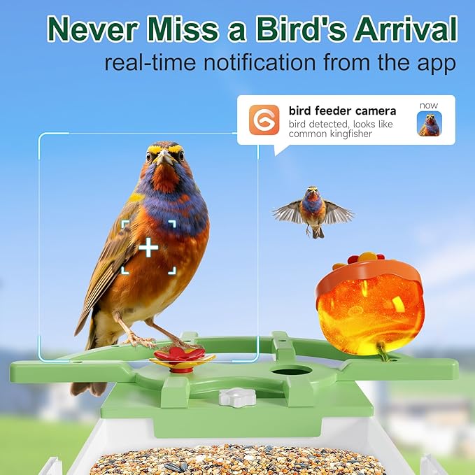 Smart Bird Feeder with Camera, AI Identify & Auto Capture, 2K HD Live Video Bird House with Camera, Instant Arrival Alerts, Cloud Storage Videos, Ideal Gift for Bird Lovers