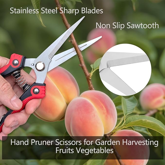 Gardening Scissors Hand Pruner Pruning Shear with Straight Stainless Steel Blades, Flower Cutter Garden Clippers, 8.1 Inch (Green)