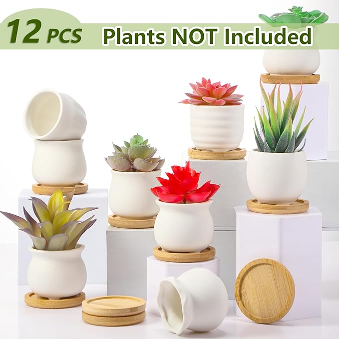 Remerry 12 Pcs Small Ceramic Pots 2.5 Inch Mini Succulent Pots Valentine's Day Gifts DIY Figurines Paint Craft Kit Unpainted Ceramic Bisque with Drainage Hole Ready to Paint for Classroom(Classic)