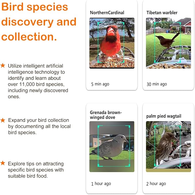 DCT Smart Bird Feeder with Camera - 1080P HD Camera Feeders for Outside, AI Bird Identify, Squirrel-Proof, Ideal Gifts for Lovers & Elderly, Wireless WiFi