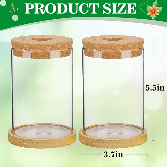 Plants Propagation Station - 2Pcs Desktop Plant Terrarium Glass Hydroponic Vases, Water Plant Propagating Jars, Gardening Gifts for Women Mom Plant Lovers (Thick Straight Shape, Separated Tray Style)