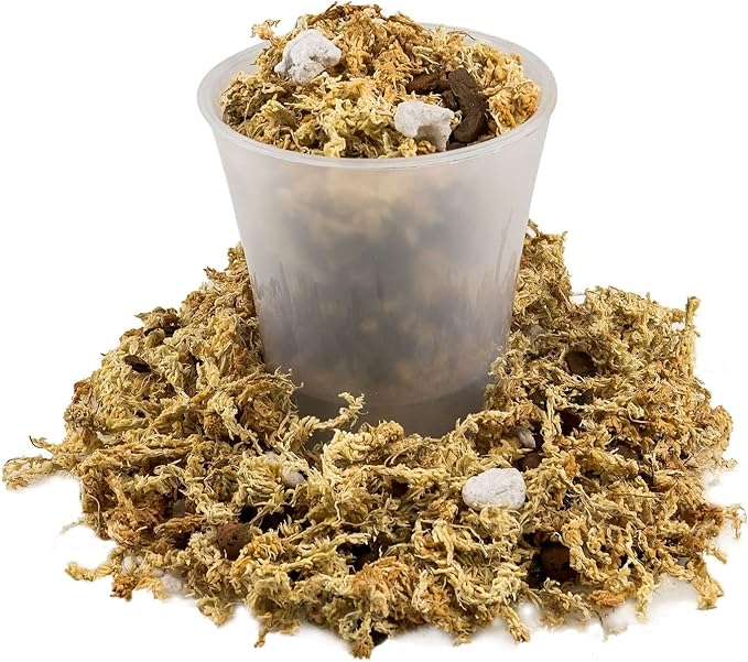 Premium Phalaenopsis Imperial Orchid Potting Mix - Hand Mixed in Small Batches | Great for Phalaenopsis of All Kinds - by GARDENERA - 2 Quart Bag