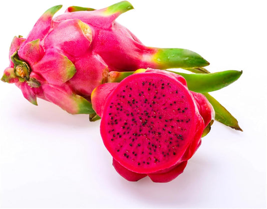 Garden Plant Seeds Fruit Tree Seeds Pitaya Seeds 100+ Pcs Dragon Fruit Red Meat Megalanthus Pitaya Pitahaya Hyloce Fruit Seeds