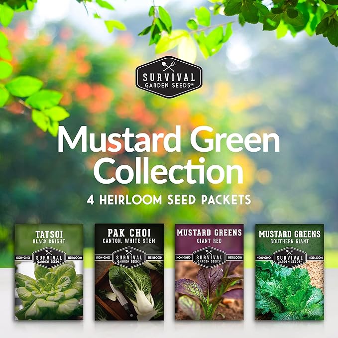 Mustard Green Seed Collection - 4 Packets for Planting Black Knight Tatsoi, Canton White Stem Pak Choi, Giant Red & Southern Giant Mustard Greens - Non-GMO Heirloom Varieties - Survival Garden Seeds