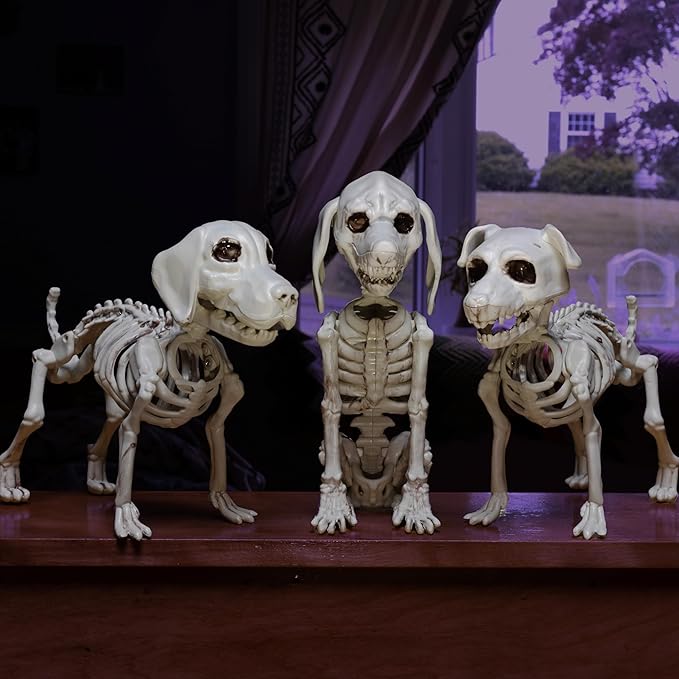 Halloween Dog Skeleton 3 Pack Indoor/Outdoor Decorations- 10" Plastic Animal Bones for Party Table Decor, Haunted Houses, & Graveyards- A Trio of Unique Canine Skeletons- Durable and Detailed Props