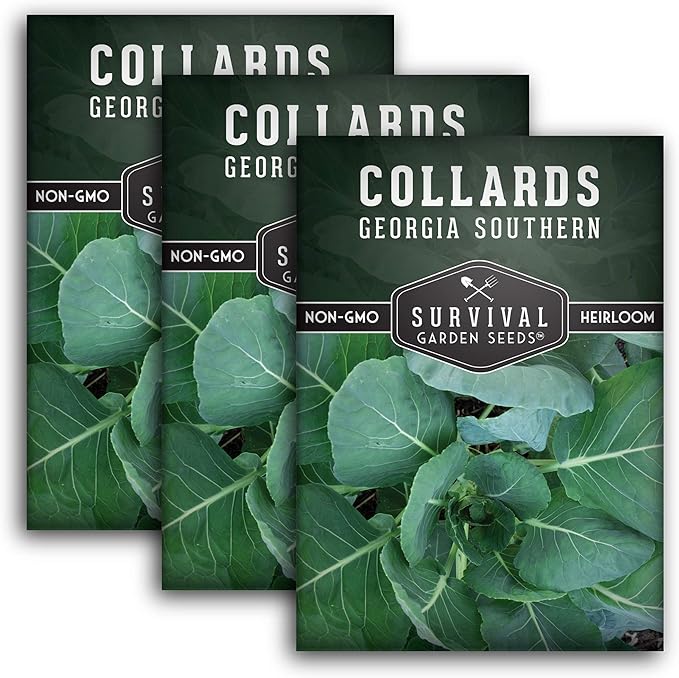 Survival Garden Seeds - Georgia Southern Collards Seed for Planting - Pack with Instructions to Plant and Grow Healthy Collard Greens in Your Home Vegetable Garden - Non-GMO Heirloom Variety - 3 Packs