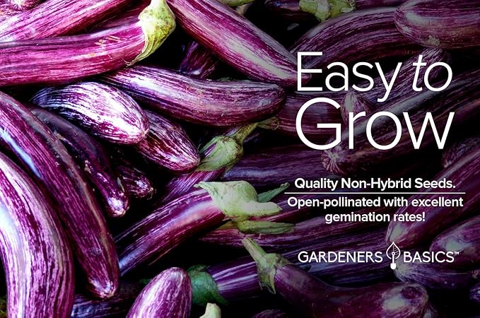 Gardeners Basics, Eggplant Seeds for Planting - (Long Purple) is A Great Heirloom, Non-GMO Vegetable Variety- 500 mg Seeds Great for Outdoor Spring, Winter and Fall Gardening