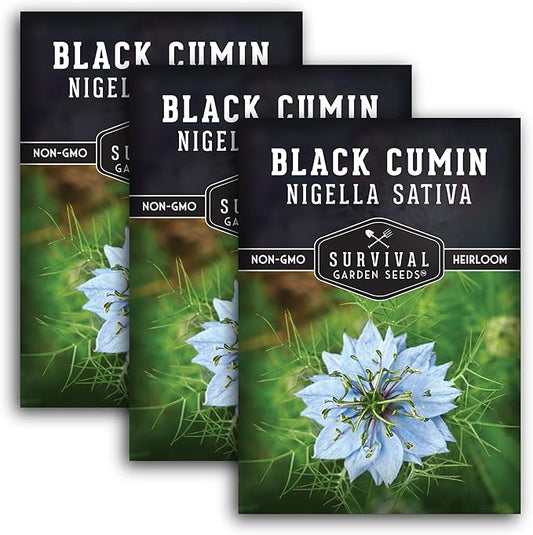 Black Cumin Seed for Planting - 3 Packets with Instructions to Plant and Grow Beneficial Nigella Sativa Plants in Your Home Vegetable Garden - Non-GMO Heirloom Variety - Survival Garden Seeds