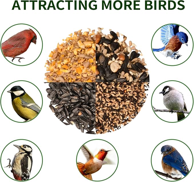 Solution4Patio Green Outdoors Hanging Bird Feeder, All Metal, Double Suet Cake and Large Capacity, Hopper Tray & Weatherproof for Finch, Cardinal & Chickadee #B101E01-US Squirrel-Proof