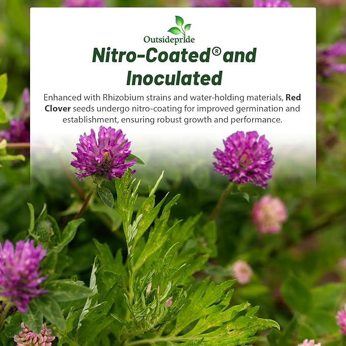 Outsidepride Perennial Red Clover Seeds - 40 lbs. Self-Seeding, Nitrocoated, Inoculated Clover Seeds for Lawn, Yard, Forage, Pasture, Hay, Nitrogen Fixation, Soil Improvement & Crop Rotation Programs