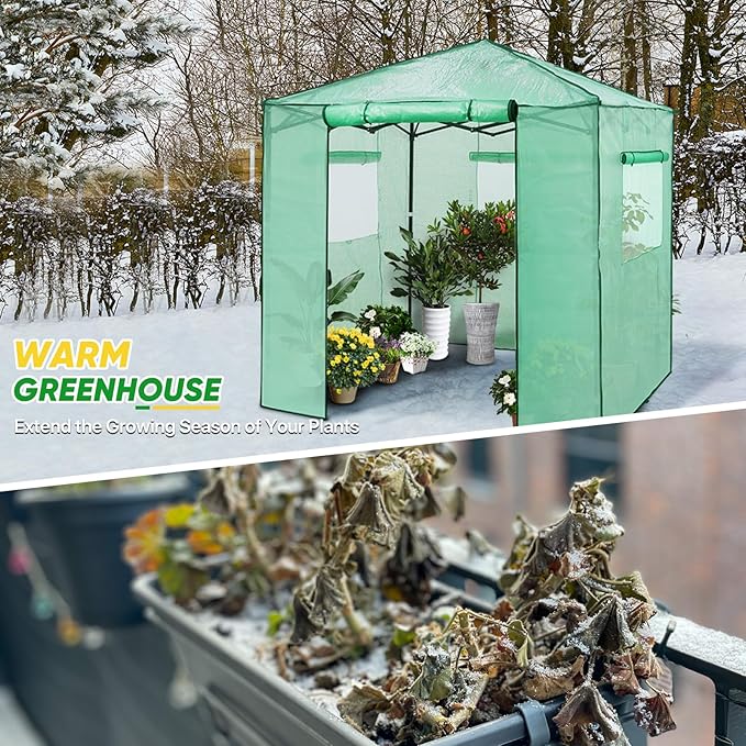 EAGLE PEAK 7x7 Pop up Greenhouse Portable Walk-in Outdoor Gardening Green House with 2 Foldable Shelves, Roll-up Zipper Entry Door and 3 Mesh Windows, PE Cover, Green/Clear