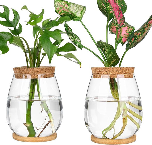 Propagation Stations, 2 Pcs Glass Planters with Wooden Tray & Lid, 5.2x4.2 inches, for Hydroponic Plants, Home Decor, Gardening Gifts for Women