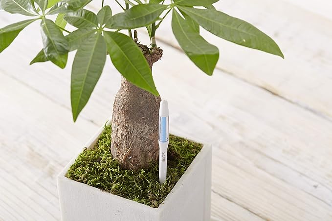 Aquameter - Medium - Black - Bundle of 5 - Leave-in Soil Moisture Meter for Potted Plants - Plant Water Sensor - Refillable