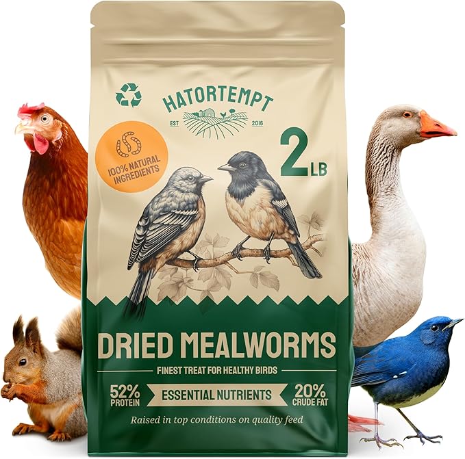 Hatortempt Dried Mealworms - 2 Lb Bag - High Protein Chicken Feed, Mealworms for Birds & Chickens - Meal Worms for Wild Birds & Turtles