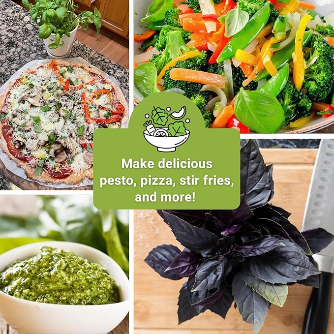 Sow Right Seeds - Basil Seed Collection for Planting - Non-GMO Heirloom Varieties for Indoor & Outdoor Gardens - Genovese, Thai & Opal - Great for Hydroponics Growing - Ideal Gardening Gift