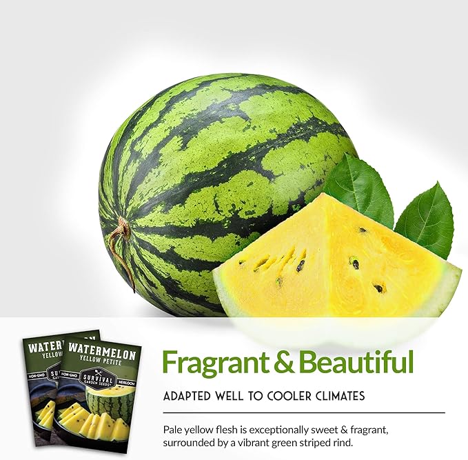 Survival Garden Seeds - Yellow Petite Watermelon Seed for Planting - Packet with Instructions to Plant and Grow Small Yellow Watermelons in Your Home Vegetable Garden - Non-GMO Heirloom Variety