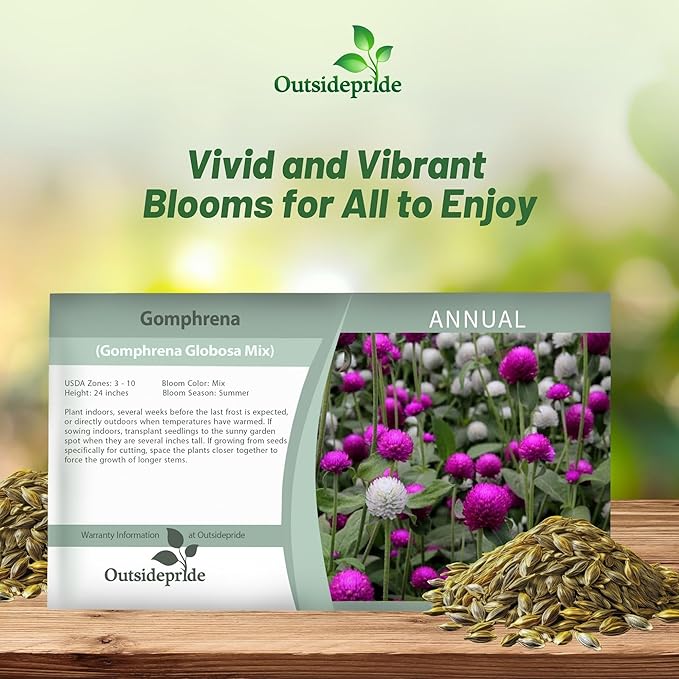 Outsidepride 2000 Seeds Annual Gomphrena Globosa Flower Seed Mix for Planting
