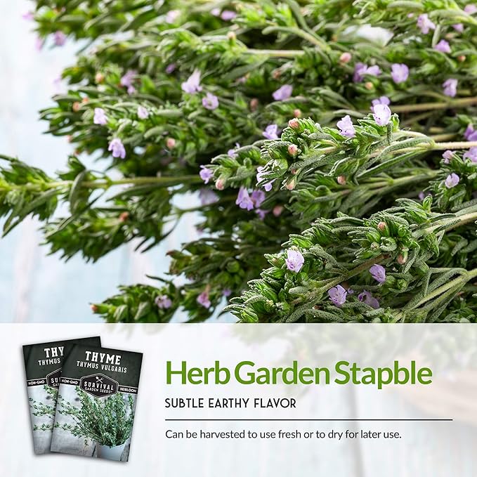 Survival Garden Seeds - Thyme Seed for Planting - Packet with Instructions to Plant and Grow Thymus Vulgaris Herb Plants in Your Home Vegetable Garden - Non-GMO Heirloom Variety - Edible Thyme Seeds