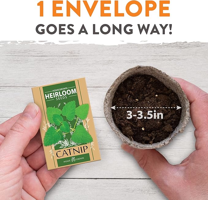 HOME GROWN 2100+ Cat Grass Seeds - Catnip Seeds, Lemongrass, Licorice, Thyme Seeds, Valerian - Grow Cat Grass for Indoor Cats - Cat Grass Seeds Bulk - Refill Cat Growing Grass Kit