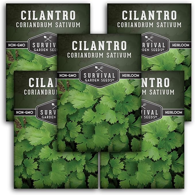Survival Garden Seeds - Cilantro Seed for Planting - Packet with Instructions to Plant and Grow Coriandrum Sativum in Your Home Vegetable Garden - Non-GMO Heirloom Variety - 5 Packs