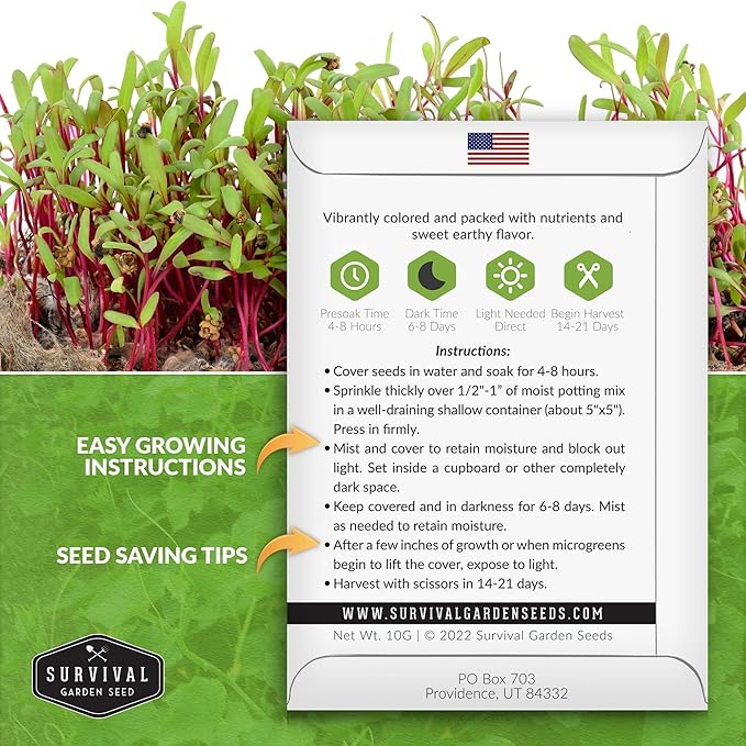 2 Packs Beet Microgreens Seeds for Sprouting and Growing - Sprout Green Leafy Micro Vegetable Plants Indoors - Grow Your Own Mini Windowsill Garden - Non-GMO Heirloom - Survival Garden Seeds