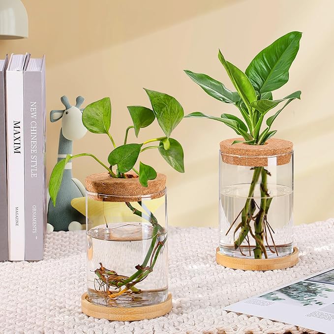 Plants Propagation Station - 2Pcs Desktop Plant Terrarium Glass Hydroponic Vases, Water Plant Propagating Jars, Gardening Gifts for Women Mom Plant Lovers (Thick Straight Shape, Separated Tray Style)