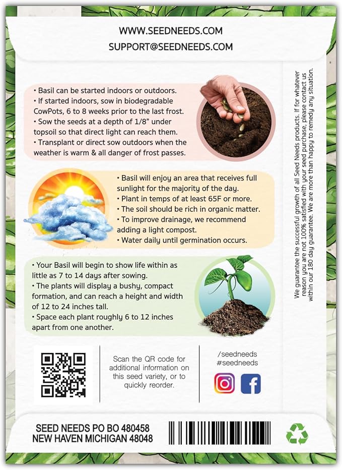 Seed Needs Italian Large Leaf Basil Seeds for Planting - Non-GMO, Heirloom & Untreated - Organically Grow an Indoor or Outdoor Home Grown Herb Garden (5 Packs)