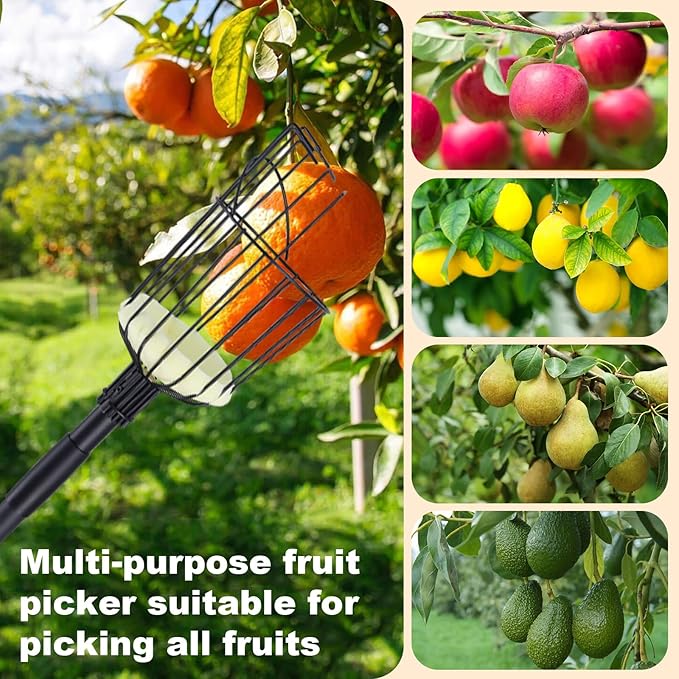 Fruit Picker Pole with Basket, 8.43FT (101 Inch) Adjustable Fruits Picker Tool with Stainless Steel Handle Fruit Grabber Reach Tool for Apple Mango Pear Avocados Fruit Picking, Black