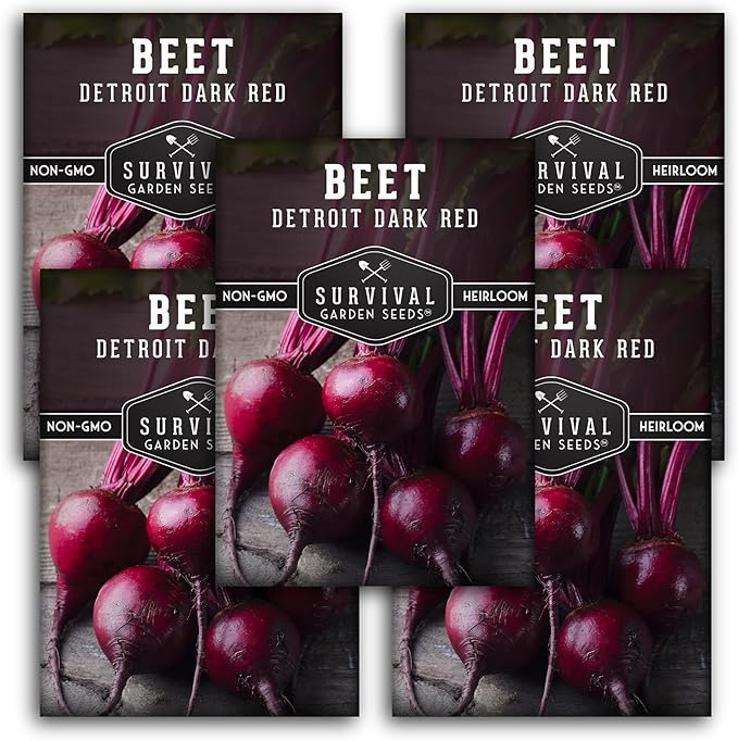 Survival Garden Seeds - Detroit Dark Red Beet Seed for Planting - 5 Packs with Instructions to Plant and Grow Delicious Root Vegetables in Your Home Vegetable Garden - Non-GMO Heirloom Variety
