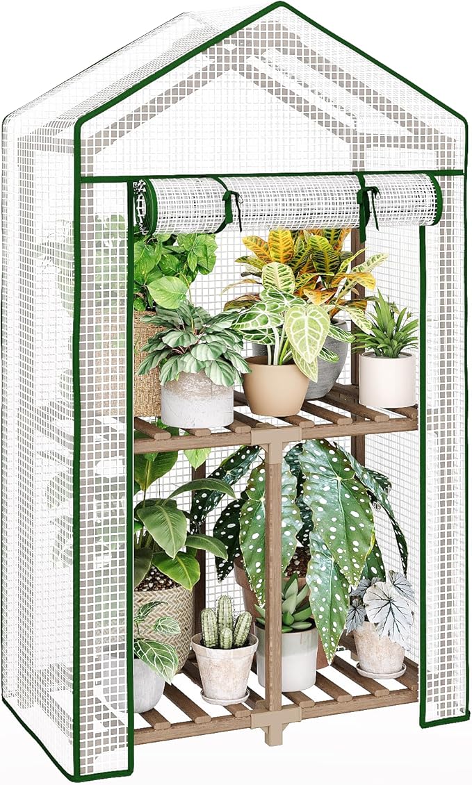 Bamworld Mini Greenhouse Indoor Outdoor 2-Tierd Reusable Portable Warm House with PE Cover Compact Garden and Backyards Portable Rack with Sturdy Eucalyptus Frame Winter-Proof for Plant Protection