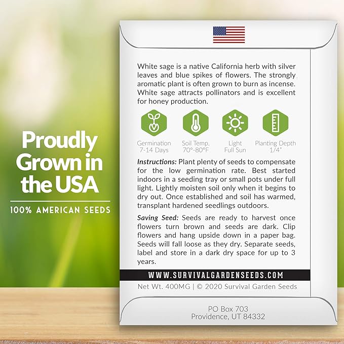 Survival Garden Seeds - 3 Packs White Sage Seed for Planting- Grow Sustainable Smudging Herbs - Packet with Instructions to Plant & Grow in Your Home Garden - Non-GMO Heirloom Variety