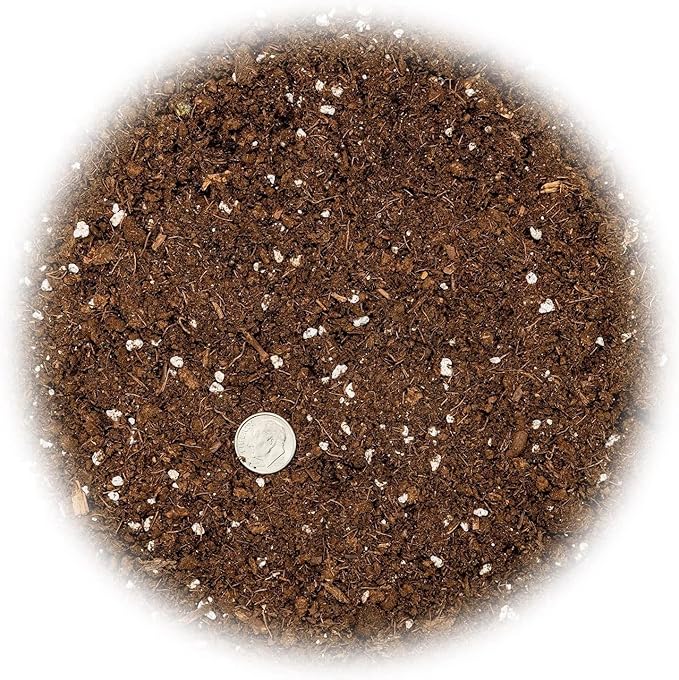 Premium Dracaena Soil Mix - 1 Quart - Expertly Formulated Potting Mix for Thriving Dracaena Trees and Shrubs