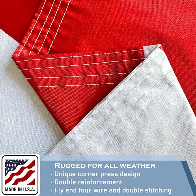 Texas State Flag 2x3 FT Made in The USA- Heavy Duty Vibrant Colours Double Sided Texas TX Flag with 2 Brass Grommets for Home/Company/Indoor Outdoor Decoration