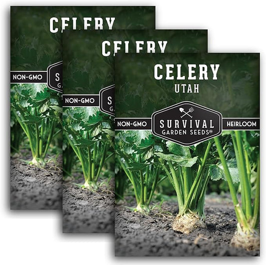 Utah Celery Seed for Planting - 3 Packets with Instructions to Plant & Grow Delicious Celery Plants in Your Home Vegetable Garden - Tender Crisp Non-GMO Heirloom Variety - Survival Garden Seeds