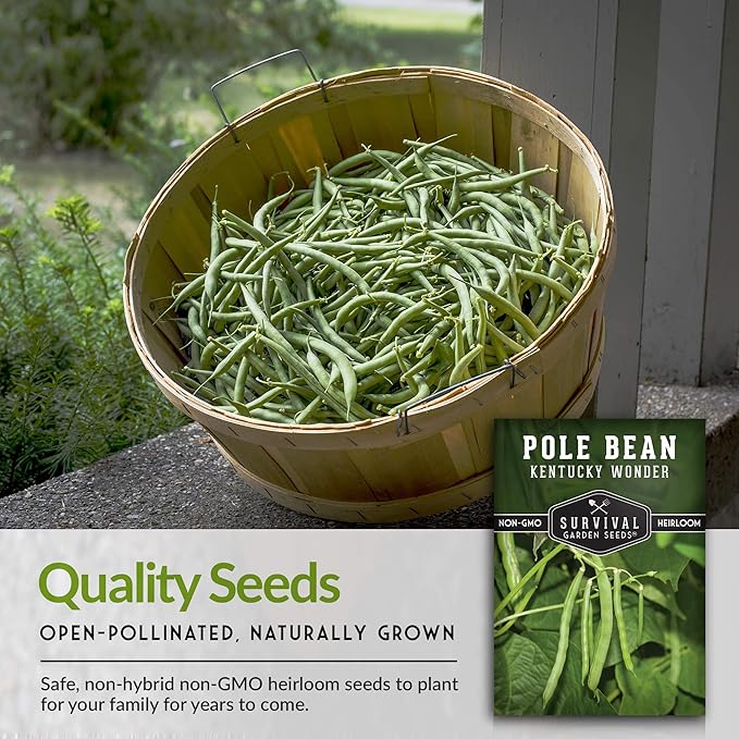Survival Garden Seeds - Kentucky Wonder Pole Bean Seed for Planting - 3 Packs with Instructions to Plant and Grow Green Snap Beans in Your Home Vegetable Garden - Non-GMO Heirloom Variety