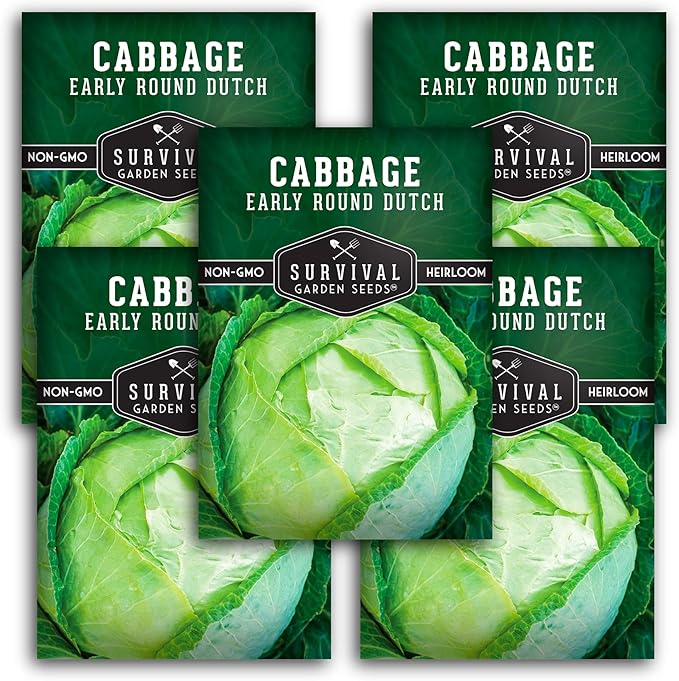 Survival Garden Seeds - Early Round Dutch Cabbage Seed for Planting - 5 Packs with Instructions to Plant and Grow Green Cabbages in Your Home Vegetable Garden - Non-GMO Heirloom Variety - Plant Seed
