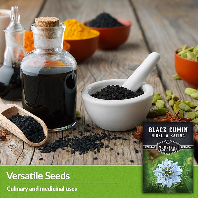 Black Cumin Seed for Planting - 3 Packets with Instructions to Plant and Grow Beneficial Nigella Sativa Plants in Your Home Vegetable Garden - Non-GMO Heirloom Variety - Survival Garden Seeds