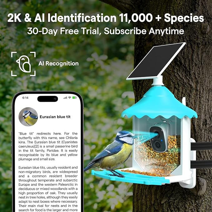 BirdsView Solar Powered Bird Feeder with 2K Ai Camera, Hummingbird Feeder, Bird House Camera, Live Alerts & Species Recognition – Gift for Bird Lovers