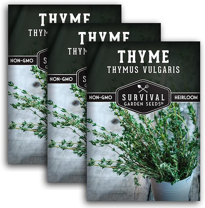 Survival Garden Seeds - Thyme Seed for Planting - 3 Packs with Instructions to Plant and Grow Thymus Vulgaris Herb Plants in Your Home Vegetable Garden - Non-GMO Heirloom Variety - Herb Garden