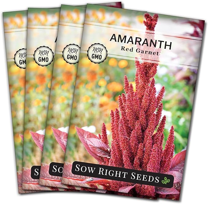 Sow Right Seeds - Red Garnet Amaranth Seeds for Planting - Non-GMO Heirloom Packet with Instructions to Plant & Grow an Outdoor Home Vegetable Garden - Colorful & Unique - Trailing Variety (4)