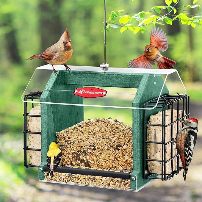 Kingsyard Hopper Bird Feeder for Outdoors Hanging, Recycled Plastic Double Suet Feeder with Clear View Windows, 3 LBS Seed, Cardinal Woodpecker Bluebird Feeder, Green