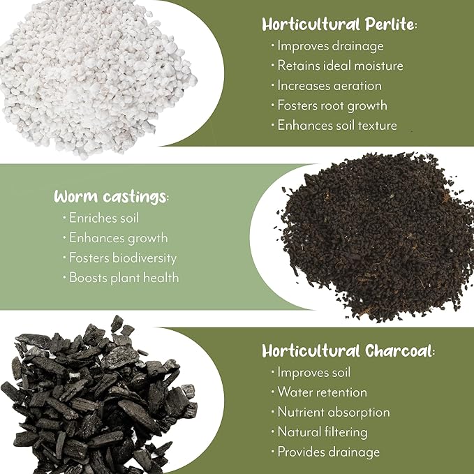 Aroid Plant Potting Soil Mix (4 Quarts), for Pothos Devil's Ivy, ZZ Plant, Chinese Evergreen, Dumb Cane, Philodendron, Syngonium, Alocasia, Colocasia Etc.