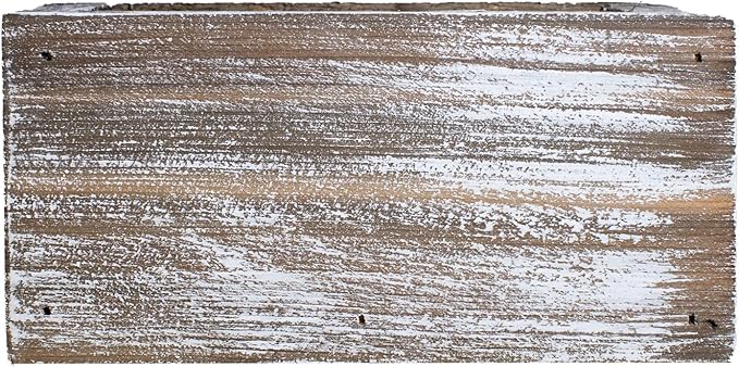 Ornamental Indoor Planter with Pet/Cat Grass Growing kit, Handcrafted in The USA from Red Cedar (Whitewash)