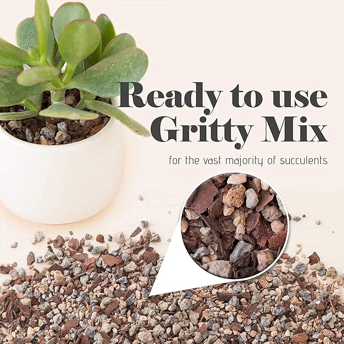 Succulent and Cactus Soil - Jacks Gritty Mix - 1 Gallon – Fast Draining – Fight Root Rot – Optimized pH …